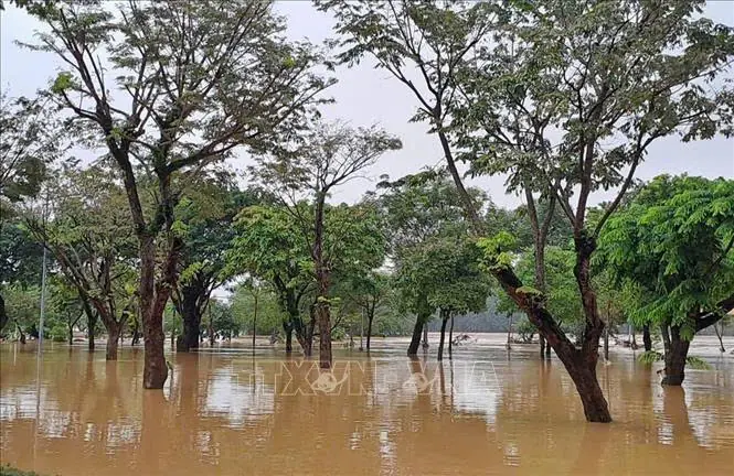 Đài PTTH Hà Nội